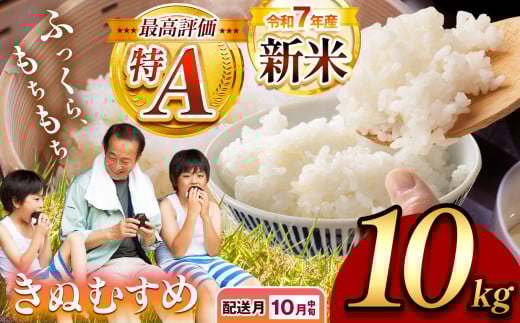 令和7年度産 新米 きぬむすめ 白米 10kg 先行予約 ＜ 2025年10月中旬～より順次発送予定 ＞ ｜ 精米 新米 白米 米 お米 コメ 単一米 きぬむすめ 山口 美祢 秋吉台 10kg