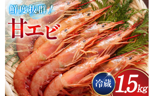 甘エビ 冷蔵 1.5kg [小川水産 石川県 志賀町 CM6008] 甘えび あまえび エビ 海老 甘海老
