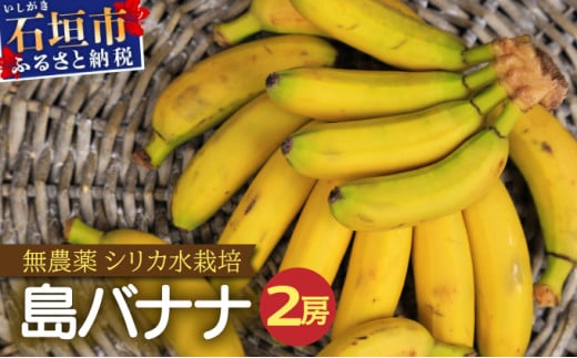 希少！特許製法で作るシリカ水で栽培する特別