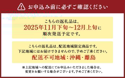 【訳あり品】 りんご（サンふじ・〇秀） 約5kg 14玉～23玉   リンゴ 林檎 【2025年11月下旬～12月上旬発送予定】