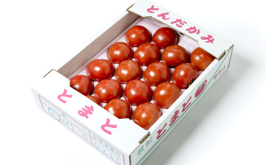 福岡県北九州市若松区産 若松濃縮トマト 1.2kg箱（15玉～30玉