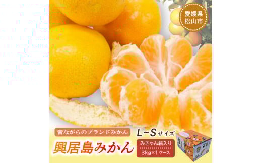 【先行予約】【11月下旬より順次発送】興居島みかん 約3kg（L～Sサイズ） みかん 柑橘 興居島 ごごしま ブランド 愛媛県 松山市