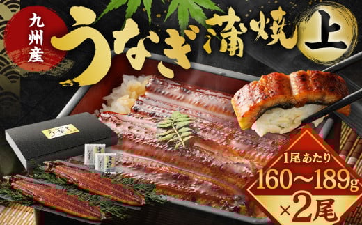 九州産 うなぎ 蒲焼 上 2尾 (1尾あたり160～189g)【2025年10月発送】 2152273 - 福岡県北九州市