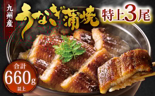 九州産 うなぎ 蒲焼 特上 3尾 計660g以上 (1尾あたり220~235g)【2025年8月発送】 2152251 - 福岡県北九州市