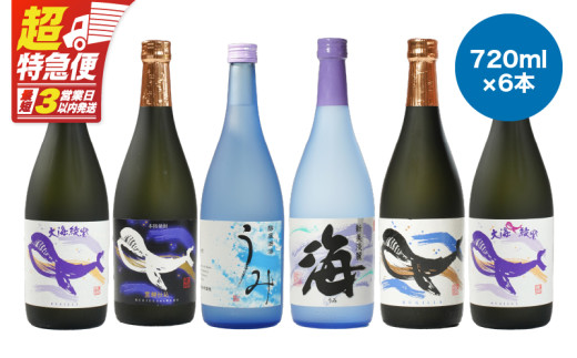 【超特急便】2859 【地元特約店限定】 鹿児島の代表酒造・大海酒造 本格芋焼酎をお手軽に呑み比べセット 720ml×6本セット　KN031-012 1996059 - 鹿児島県鹿屋市