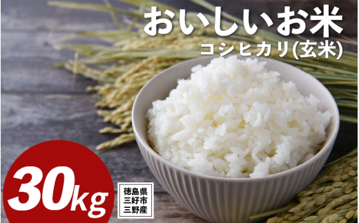 米 令和7年産 新米 30kg 玄米 コシヒカリ 米 こめ お米 ご飯 ごはん おにぎり こしひかり 備蓄 保存 防災 ギフト 贈答 プレゼント グルメ 送料無料 徳島県 三好市 みよし 篠原農園