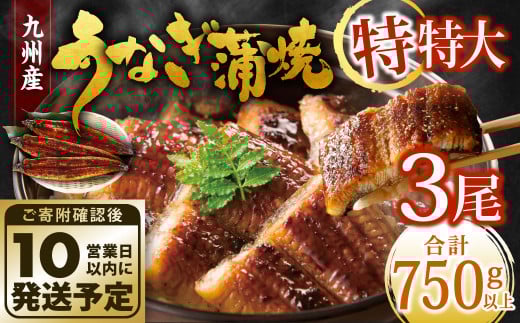 九州産 うなぎ蒲焼 特特大3尾 (1尾あたり250~266g) 合計750g以上【順次発送】 2152286 - 福岡県北九州市