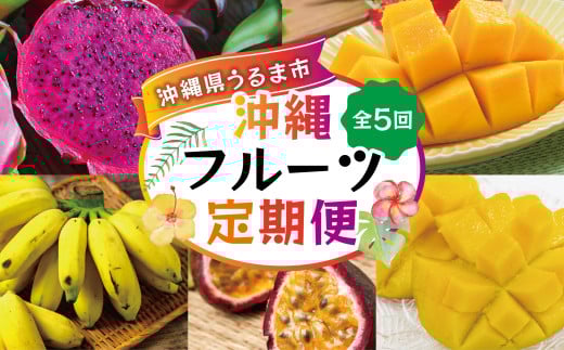 【ふるさと納税】沖縄フルーツ定期便【全5回】