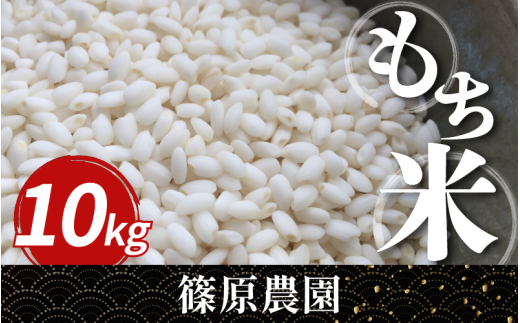 米 もち米 令和7年産 新米 10kg もちみのり 米 こめ お米 ご飯 ごはん もち 餅 もちごめ 白米 精米 備蓄 保存 防災 ギフト 贈答 プレゼント グルメ 送料無料 徳島県 三好市 みよし 篠原農園