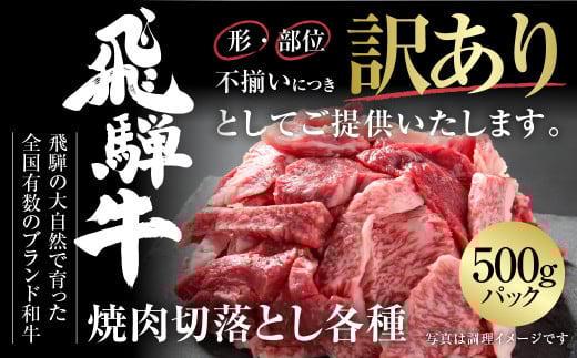 訳あり 飛騨牛 焼肉 切り落とし 500g 冷凍真空パック | 肉 お肉 切落し 不揃い 焼肉 焼き肉 やきにく 黒毛和牛 和牛 人気 おすすめ 牛肉 ギフト お取り寄せ [MZ013] 1455189 - 岐阜県白川村