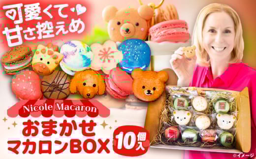 おまかせ マカロンボックス 10個入り マカロン 焼菓子 スーツ 愛西市 / ニコールマカロン [AEDA001]