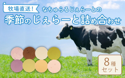 なかの牧場なちゅらるじぇらーとセット ８個入  【 ミルク チョコ ブルーベリー チーズ ピスタチオ 塩 キャラメル アイス ジェラート セット 季節 てづくり なちゅらるじぇらーと なかの牧場 8個 父の日 F04_01 】 868881 - 新潟県新発田市