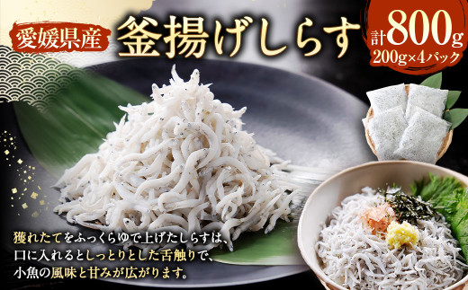 釜揚げしらす[4パック] 計約800g 釜揚げシラス しらす 釜揚げ 加工品 グルメ 食品 魚介 小魚 魚 海鮮 海の幸 愛媛県 冷凍 (896)