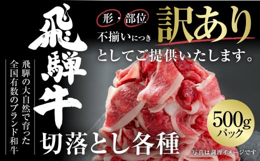 訳あり 飛騨牛 切落とし 500g 冷凍真空パック | 肉 お肉 切り落とし 薄切り すき焼き すきやき 黒毛和牛 和牛 人気 おすすめ 牛肉 ギフト お取り寄せ [MZ011] 1455187 - 岐阜県白川村
