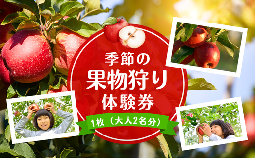 「季節の果物狩り体験券」1枚［AK-101］