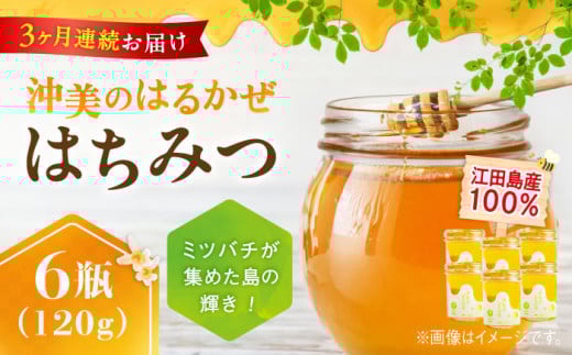 【全3回定期便】江田島産100％ はちみつ 『沖美のはるかぜ』120g×6本セット ハチミツ 蜂蜜 国産 広島 江田島市/はつはな果蜂園 [XCD015] ハチミツ 国産蜂蜜 国産はちみつ 国産純粋はちみつ 蜜 蜂蜜 はちみつ ハニー honey 人気ハチミツ 日本蜜蜂 純粋はちみつ 常温 保存 備蓄 防災食 非常食 保存食 産地直送 国産 定期便 1237557 - 広島県江田島市