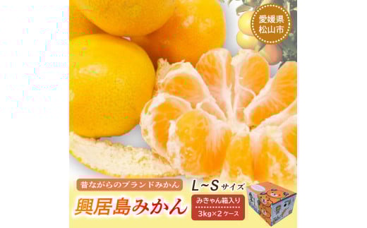 【先行予約】【11月下旬より順次発送】興居島みかん 約6kg（L～Sサイズ） みかん 柑橘 興居島 ごごしま ブランド 愛媛県 松山市 596290 - 愛媛県松山市