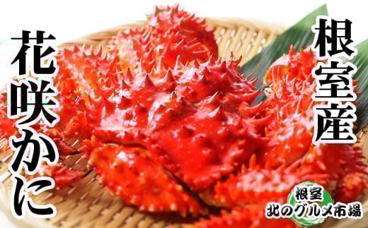 C-76038 【北海道根室産】花咲かに300g~450g前後×6尾 985616 - 北海道根室市
