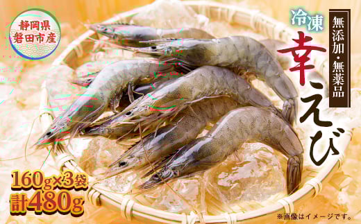 地球に優しい国産エビ　冷凍「幸えび」160g×3袋(合計480g)静岡県磐田市産_ エビ えび 海老 シロアシエビ 国産 冷凍 真空パック 真空包装 有頭 甘い 刺身 素揚げ パスタ 魚介類 贈答 ギフト プレゼント 静岡県 送料無料 【1417712】 984357 - 静岡県磐田市