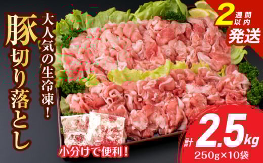 大人気 生冷凍 厳選 豚切り落とし 計2.5kg 豚肉 おすすめ 国産 食品 焼肉 肉じゃが 豚汁 野菜炒め おかず お弁当 晩ご飯 グルメ 小分け 個包装 真空パック おすそ分け お取り寄せ 新鮮 万能食材 宮崎県 日南市 送料無料_CV5-25-2W 2154351 - 宮崎県日南市