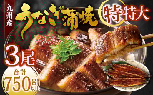 九州産 うなぎ蒲焼 特特大3尾 (1尾あたり250~266g) 合計750g以上【2025年9月発送】 2152284 - 福岡県北九州市