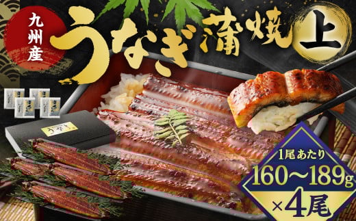 九州産 うなぎ 蒲焼 上 4尾 (1尾あたり160~189g)【2025年8月発送】 2152263 - 福岡県北九州市