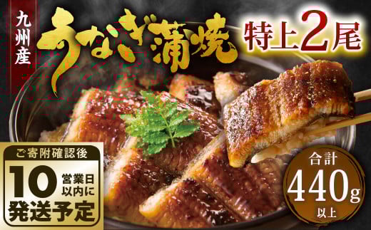 九州産 うなぎ 蒲焼 特上 2尾 計440g以上 (1尾あたり220～235g)【順次発送】 2152258 - 福岡県北九州市