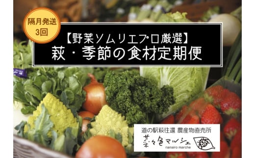野菜ソムリエプロselect／萩・季節の食材定期便　隔月発送・3回コース｜HG0T0032-B 2155562 - 山口県萩市