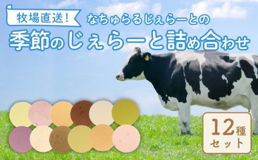 なかの牧場なちゅらるじぇらーとセット 12個入  ミルク チョコ ブルーベリー チーズ お茶 緑茶 紅茶 ほうじ茶 ラム レーズン ピスタチオ 塩 キャラメル アイス ジェラート セット 季節 お茶 冨士美園 てづくり なちゅらるじぇらーと なかの牧場 12個 父の日 F02 865965 - 新潟県新発田市
