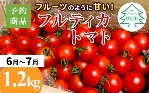 予約品※2025年6月～7月発送★フルーツのように甘い フルティカトマト 1.2kg 令和7年度産 ※予約商品※割れ保障付 5000円