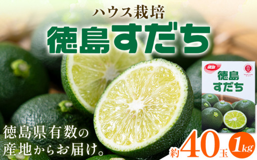 佐那河内名産 ハウス栽培 すだち 40玉 (1kg) ハウスすだち スダチ 一般財団法人さなごうち[6月中旬-9月上旬頃出荷]徳島県 佐那河内村 送料無料 スダチ ハウス 魚 豆腐 冷奴 焼き魚 天ぷら 刺身 徳島県産