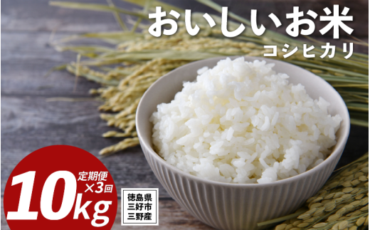 米 令和7年産 新米 定期便 10kg ×3回 コシヒカリ 米 こめ お米 ご飯 ごはん おにぎり こしひかり 白米 精米 備蓄 保存 防災 ギフト 贈答 プレゼント グルメ 送料無料 徳島県 三好市 みよし 篠原農園