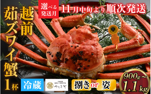【先行予約】[捌き済選択可][到着日指定可]蟹好きにおすすめ！老舗カニ専門店の「越前ずわいがに」大(900g～1.1kg)【11月中旬より順次発送】 [M-085021] 987543 - 福井県福井市