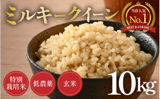 【先行予約】【令和7年産 新米】ミルキークイーン 玄米 10kg 特別栽培米 低農薬 《食味値85点以上！こだわり無洗米》 / 福井県 あわら市 北陸 米 お米 人気 ※2025年9月上旬より順次発送 [aw032-b006] 514036 - 福井県あわら市