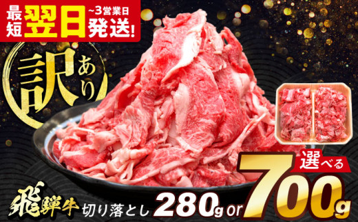 飛騨牛 切り落とし 280g 多治見市 / 養老ミート 冷凍 赤身 和牛 訳あり お試し [THG002]