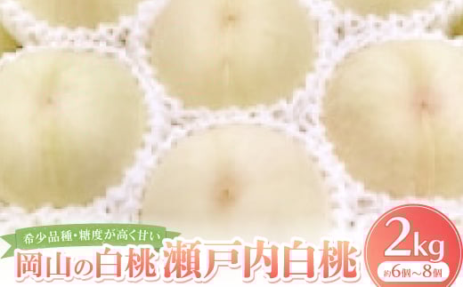 ＜先行予約・2025年8月下旬~9月上旬頃発送予定＞希少品種・岡山の白桃・瀬戸内白桃(2kg箱)【1536160】 1445147 - 岡山県美作市