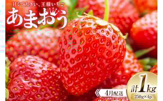 期間限定 いちご あまおう 250g×4パック【4月発送】[増田青果 福岡県 宇美町 um40beq650003] 苺 イチゴ フルーツ 甘い あまい 季節限定