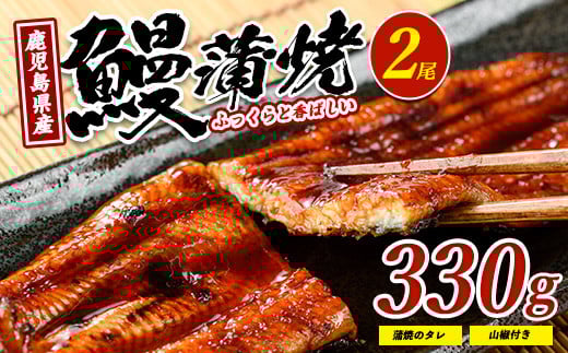 【鹿児島県産】鰻の蒲焼(無頭背開き)約165g×2尾(山中水産/016-1065) うなぎ 国産 鹿児島 蒲焼 丑の日 丑 土用丑の日 276608 - 鹿児島県指宿市