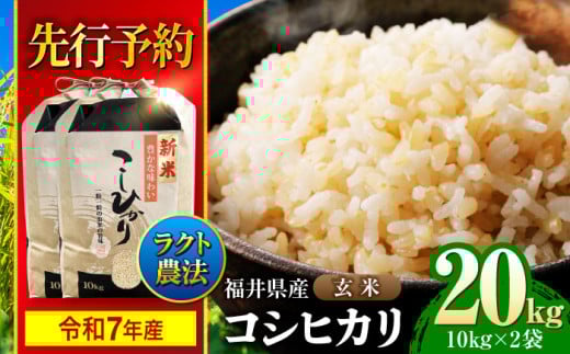 【 先行予約 /9月中旬から発送】　【令和7年産】 福井県産 ラクト農法 コシヒカリ 玄米 10kg×2 （20kg） / 小浜市 / 北川博司 [BFDG007] 2147048 - 福井県小浜市