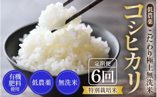 【先行予約】【令和7年産 新米】《定期便》5kg×6回 30kg 特別栽培米 コシヒカリ 無洗米 低農薬 《食味値85点以上！こだわり極上無洗米》 / 福井県 あわら 北陸 米 お米 人気 高品質 鮮度抜群 新米 ※2025年9月中旬より順次発送 [aw032-i001] 399220 - 福井県あわら市