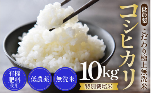 【先行予約】【令和7年産 新米】特別栽培米 コシヒカリ 10kg 無洗米 低農薬 《食味値85点以上！こだわり極上無洗米》 / 福井県 あわら 北陸 米 お米 人気 高品質 鮮度抜群 新米 ※2025年9月上旬より順次発送 [aw032-b001] 397257 - 福井県あわら市