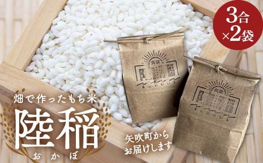 畑で作ったもち米「陸稲(おかぼ)」3合(450g)×2袋 F6U-254