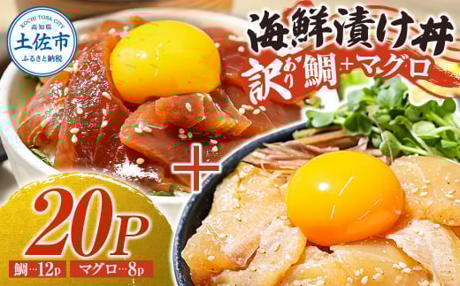 訳あり海鮮漬け丼（タイ12P・マグロ8P）セット 漬け丼 漬け 鯛 鮪 マグロ 赤身 食べ比べ 海鮮 魚 冷凍 食品 保存食 小分け 高知 土佐 海鮮丼 漬け丼 ぶっかけ お茶漬け 鯛めし 惣菜 そうざい 訳アリ わけあり 不揃い 規格外 故郷納税 返礼品