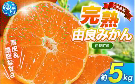 【先行予約】薄皮で濃い甘さ！完熟由良みかん【ご家庭用】5kg（混サイズ）和歌山県由良産※2025年11月下旬頃から順次発送予定(お届け日指定不可) / 柑橘 ミカン 蜜柑 甘い 由良町 フルーツ 果物 くだもの 食品 人気 おすすめ 産地直送 由良町【ktym002】 1009304 - 和歌山県由良町