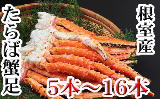 C-70077 【北海道根室産】ボイルたらば蟹足5本～16本(計1～1.2kg)