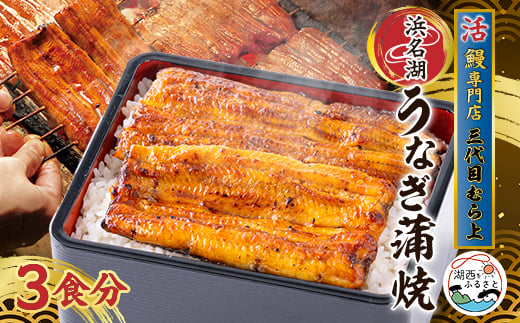 三代目むら上の職人手焼　浜名湖産鰻蒲焼120g(3枚)　たれ・山椒付き【1403763】