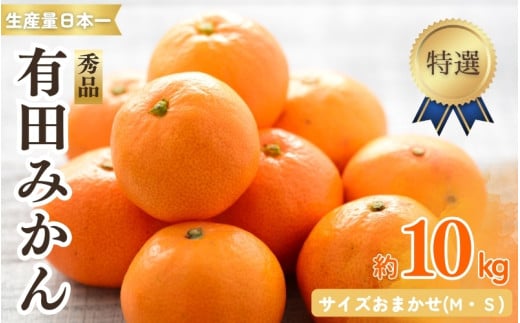 特選紀州有田みかん　秀品　約１０kgサイズおまかせ(М・Ｓ) 【sml915】 ※2025年12月上旬～下旬頃発送予定（お届け日指定不可）