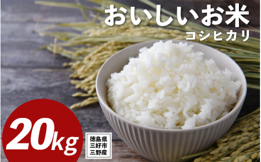 米 令和7年産 新米 20kg コシヒカリ 米 こめ お米 ご飯 ごはん おにぎり こしひかり 白米 精米 備蓄 保存 防災 ギフト 贈答 プレゼント グルメ 送料無料 徳島県 三好市 みよし 篠原農園