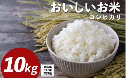 米 令和7年産 新米 10kg コシヒカリ 米 こめ お米 ご飯 ごはん おにぎり こしひかり 白米 精米 備蓄 保存 防災 ギフト 贈答 プレゼント グルメ 送料無料 徳島県 三好市 みよし 篠原農園