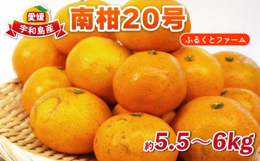 南柑20号 5.5kg ~ 6kg サイズミックス ふるくとファーム  先行予約 かなこちゃんち 温州みかん 果物 くだもの フルーツ 柑橘 みかん 蜜柑 mikan 愛媛ミカン 愛媛蜜柑 愛媛みかん 農家直送 産地直送 数量限定 国産 愛媛 宇和島 B015-037009 2229854 - 愛媛県宇和島市